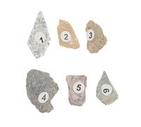 CIYODO Educational Natural Stone Specimen Set for Science Teaching, Ore Rock Samples Collection for Primary School Stem Experiments, Geological Specimens for Classroom Use