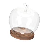 CIYODO Glass Display Dome Cork Base for Preserved Flowers Micro Landscape Party Adornment Flower Protector Keepsake