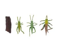 CIYODO Life Cycle Locust Growth Model Educational Simulation for Realistic Insect Evolution Display Ornament Childrens Learning and Room Decoration Kit
