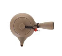CIYODO Loose Leaf Brewing Kyusu Teapot Ceramic Stoneware with Side Handle for Dormitory Hotel and Home Tea Preparation