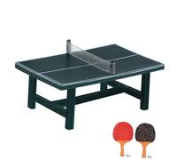 CIYODO Miniature Table Tennis Table Model Craft Creative Mini Adornment for Dollhouse Backyard Display Chic Playhouse Accessories Realistic Decorative Props for Miniature Landscape