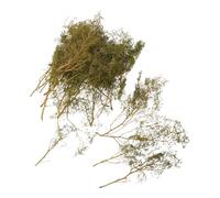 CIYODO Miniature Tree Model and Flexible Branches with Thorn Bush Design, Dry Wood Branches Easy Assembly Structure for Diorama and Creative Projects for Model Railway Scenery