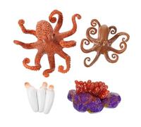 CIYODO Realistic Octopus Growth Cycle Model Educational Simulation for Plastic Detailed Display Ornament for Early Learning and Classroom Teaching Aid
