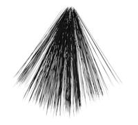 CIYODO Realistic Simulated Cat Whiskers Black for Animal Modeling Supplies DIY Felted Plush Dolls Hamster Pet Craft Accessories Lifelike Details for Needle Felting and Doll Making