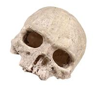 CIYODO Resin Skull Aquarium Ornament for Fish Tanks Bald Human Skull Decoration for Reptiles and Aquatic Pets Safe Material Shrimp Hideout and for Fish
