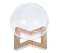 CIYODO Round Glass Terrarium with Wooden Stand for Succulents and Hydroponic Plants Tilted Opening Propagation Vase for Easy Care and Transparent Growth Monitoring Tabletop Planter for