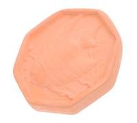 CIYODO Terracotta Brown Sugar Softener Fish Design Reusable Food Storage Container for Home and Bakery Keeps Moisture Fresh for Optimal Flavor