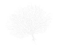 CIYODO White Artificial Fake Coral Branch for Fish Tank Decoration, Realistic Plastic Aquarium Ornament, Elegant and Dignified Style, Not Easy to Fade, for Aquarium and Wedding Decor