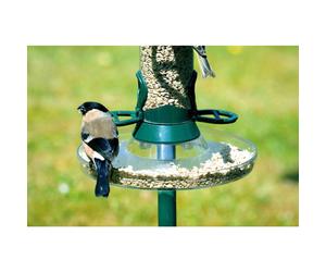 Cj Feeder Tray - Large