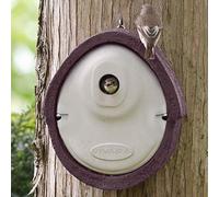 CJ Wildlife Bird Box for Gardens - Bird Nesting Box WoodStone Brown - Predator-Proof Great Tit Nest Box - FSC Wood and Concrete Mix - 32mm Hole 5kg