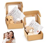Cjkoonsa 2PCS Worry Bear Hug in a Box,Mini Plush Bears Set, A Little Pocket Bear Hug for Women Men Valentine's Day Christmas with Cards & Hats (Brown & White)