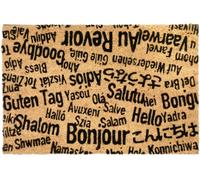CKB LTD Bonjour, Au Revoir Novelty Doormat Unique Coir Doormats Front