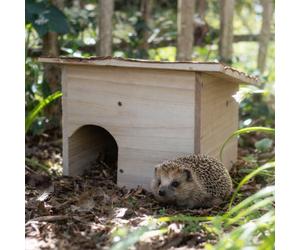 Ckb Ltd Build Your Own Hedgehog Wooden Hedgehogs Or Guinea Pig House Outdoor Shelter Outside Natural Habitat House Diy Hotel