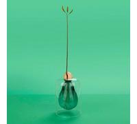 CKB Ltd Decorative Avocado Shaped Green Glass Cultivator Seed Growing Flower Vase