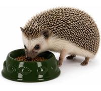 Ckb Ltd Hedgehog Bowl For Garden, Food Water, Outdoor Wildlife Feeding Dish