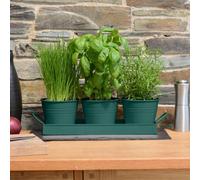 Ckb Ltd Set Of 3 Dark Green Metal Herb Plant Pots With Drip Tray Traditional Indoor Windowsill Coloured Planter Box Herbs Flowers