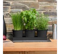 Ckb Ltd Set Of 3 Metal Herb Plant Pots With Drip Tray Traditional Indoor Windowsill Coloured Planter Box (Black)