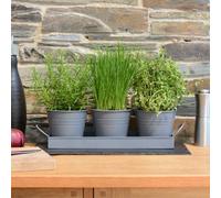 CKB LTD Set Of 3 Metal Herb Plant Pots With Saucer Tray Indoor Windowsill Kitchen Planter (Charcoal Grey)