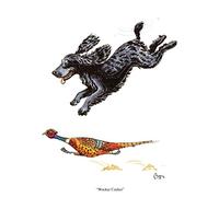 cker Spaniel Cartoon Dog Greeting CardCartoon Wocker Cocker Spaniel Cartoon Dog Greeting CardWocker Cocker Spaniel Cartoon Dog Greeting CardWocker Cocker Spaniel Cartoon Dog Greeting CardDog Greeting CardWocker Cocker Spaniel Cartoon Dog Greeting CardWocker Cocker Spaniel Cartoon Dog Greeting CardWocker Cocker Spaniel Cartoon Dog Greeting CardWocker Cocker Spaniel Cartoon Dog Greeting Card