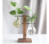 CKNMEERSA Glass Planter Bulb Vase, Desktop Air Plant Terrarium Kit with Retro Solid Wooden Stand, Plant Propagation Stations Terrarium (Bw-002)