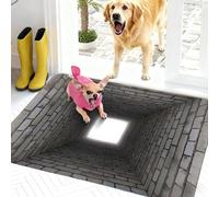 CKryzillix Dog Gets Scared of 3D Hole Carpet, Rugs That Look Like, Optical Illusion, Bottomless Area Mat, Test & Play with Your or Cat(B-60 * 90cm(24 * 35in))