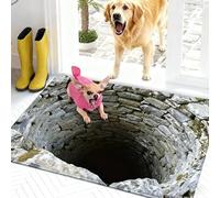 CKryzillix Dog Gets Scared of 3D Hole Carpet, Rugs That Look Like, Optical Illusion, Bottomless Area Mat, Test & Play with Your or Cat(A-90 * 120cm(32 * 47in))