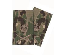 CL Distribution Pair Of Bronze on Multicam/MTP Rank Slides (Multi Terrain Pattern - All Ranks (Lieutenant General)