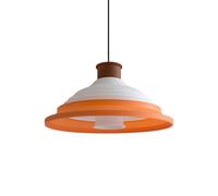 CL5 Pendant Without Cord Multi