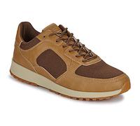 Clae Shoes (Trainers) JOSHUA in Brown 9.5