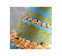 Claire Bowman Eternity Cake Lace Mat - Silicone Mat - for Creating Edible lace Cake and Cupcake Decoration