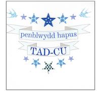 Claire Giles Greeting Cards, Welsh Grandad Birthday Card, Penblwydd Hapus Tad-cu, Blue Stars Welsh Language Greeting Card