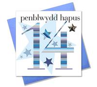Claire Giles Ages Welsh Penblwydd Hapus Age 14 Boy Birthday Card WAGE14B