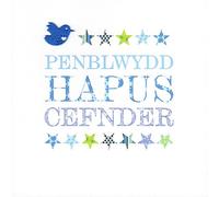 Claire Giles Greeting Cards, Welsh Happy Birthday Cousin Card, Penblwydd Hapus Cefnder, Blue Stars Welsh language Greeting Card