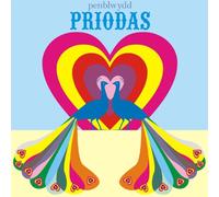 Claire Giles Greeting Cards, Welsh Happy Wedding Anniversary Card, Peacock Heart Design Congratulations Greeting Card