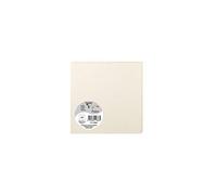 Clairefontaine 11886C Iridescent Cream Paper Pack of 25 Plain Cards Square 13.5x13.5cm 210g Invitation Correspondence Cards Pollen Range Premium Smooth
