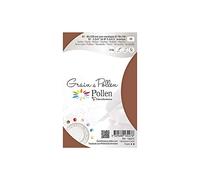 Clairefontaine 13447C Bag of 5 Plain Cards Format 8,2x12,8cm 210g - Terracotta Colour Invitation Correspondence Cards - Pollen Grain Range - Premium Paper