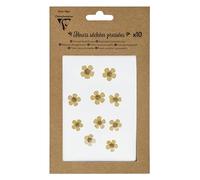 Clairefontaine 195490C - Pack of 10 Dried Flowers Genuine Yellow Flowers DIY Floral Art Scrapbooking DIY Creative Card Making - Decoration, Creative Leisure