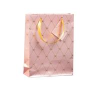 Clairefontaine 212909C - Pack of 5 Premium Gift Bags - Medium Size - 17 x 6 x 22 cm - Primerose - Ideal for: Books, Games, Small Gifts