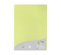 Clairefontaine 224205C Wallet of 25 Sheets Format A4 21x29,7cm 210gsm Colour Leaf Bud Green Invitation Paper Events Correspondence Pollen Range Premium Paper