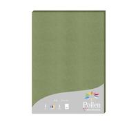 Clairefontaine 24270C - Pack of 25 Sheets of Pollen, DIN A4 210 x 297 210 g/m², Ideal for Your Invitations and Correspondence, Sage, 1 Pack
