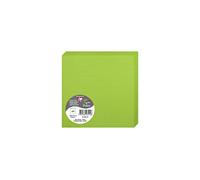 Clairefontaine 2821C Pack of 25 Double Cards Square 13.5x13.5cm 210g/m² Intensive Green Invitation Correspondence Boards Pollen Range Smooth Premium Paper