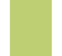 Clairefontaine 384519C Pack of 25 Sheets Coloured Poster Paper 90g/m² Format 60x80cm Cutting Writing Collage Creative Activities Adults Children Apple Green
