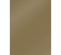 Clairefontaine Pack of 10 90 g Coloured Poster Paper, Gold, 80 x 60 x 0.1 cm