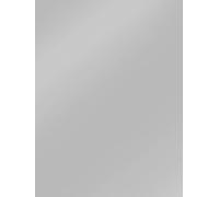 Clairefontaine 384576C Pack of 10 Sheets Coloured Poster Paper 90g/m² Format 60x80cm Cutting Writing Collage Creative Leisure Activity Adults Children Silver