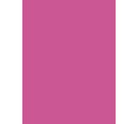 Clairefontaine 384587C Pack of 25 Sheets Coloured Poster Paper 90g/m² Format 60x80cm Cutting Writing Creative Leisure Activity Adults Children Colour Fuchsia