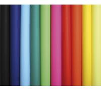 Clairefontaine 384599C Pack of 25 Sheets Coloured Poster Paper 90g/m² Format 60x80cm Cutting Writing Collage Creative Activity Adults Children Ast Colours