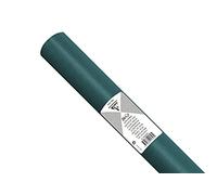 Clairefontaine 394050C Roll of 24 Sheets Silk Paper 18g/m² Format 50x75cm Fine Delicate Resistant Creative Packaging Creative Activity Empire Green Colour
