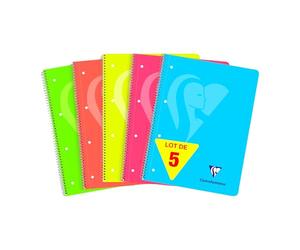 Clairefontaine 598723C Set of 5 Mimesys Spiral Notebooks A4+ 22.5x29.7 - 240 Small Squares Pages Framed Perforated 4 Holes White Paper 90g Cover Random Colour