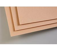 Clairefontaine 696012C Pastelmat Paper Pack - 5 Sheets Special Card for Dry Pastels - A3 29.7x42 cm 360g - Sienna