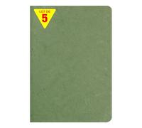 Clairefontaine 733103CPack Age Bag Collection A Pack of 5 Green Stapled Notebooks A5 14.8x21cm - 96 Plain White Pages - 90g Paper - Leather Glossy Card Covers